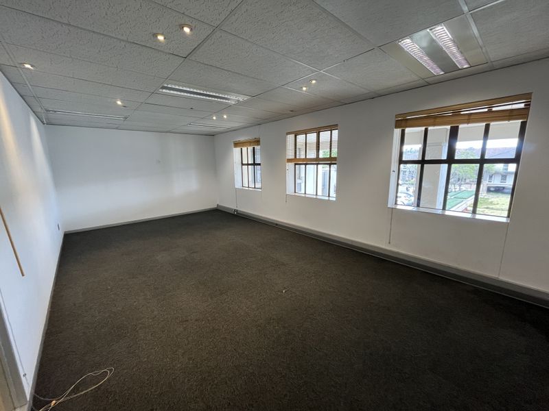 A spacious, empty office suite featuring a suspended ceiling with recessed lighting, dark carpeting, and large windows with timber blinds providing natural light.