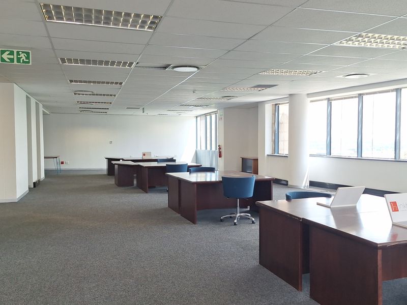 Spacious open-plan office area featuring a suspended ceiling, recessed lighting, large windows providing natural light, and neutral carpeting throughout.