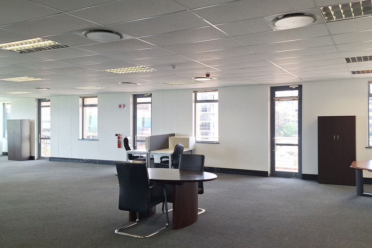 Spacious open-plan office area featuring a suspended ceiling, recessed lighting, carpeted flooring, and multiple windows providing natural light.