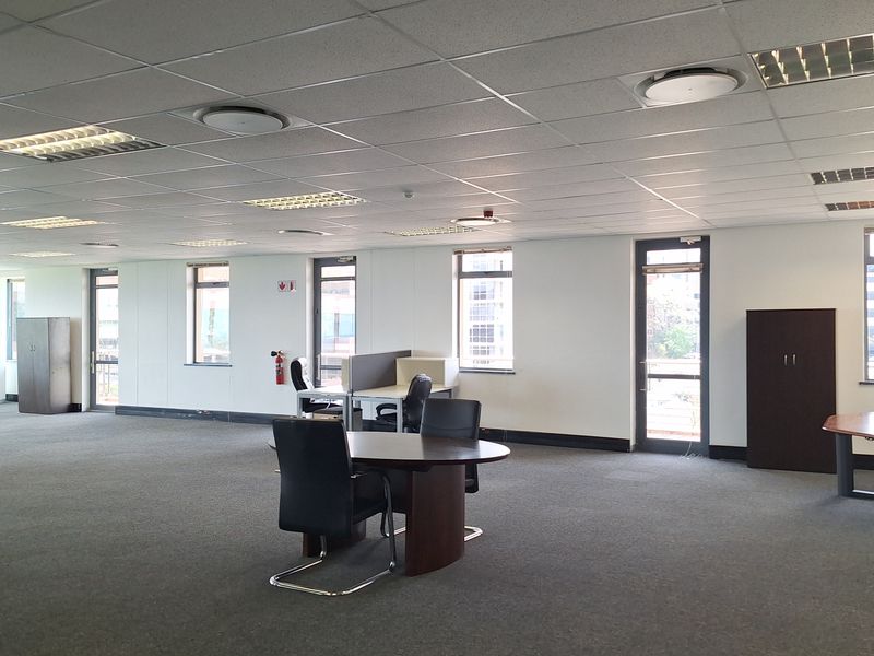 Spacious open-plan office area featuring a suspended ceiling, recessed lighting, carpeted flooring, and multiple windows providing natural light.