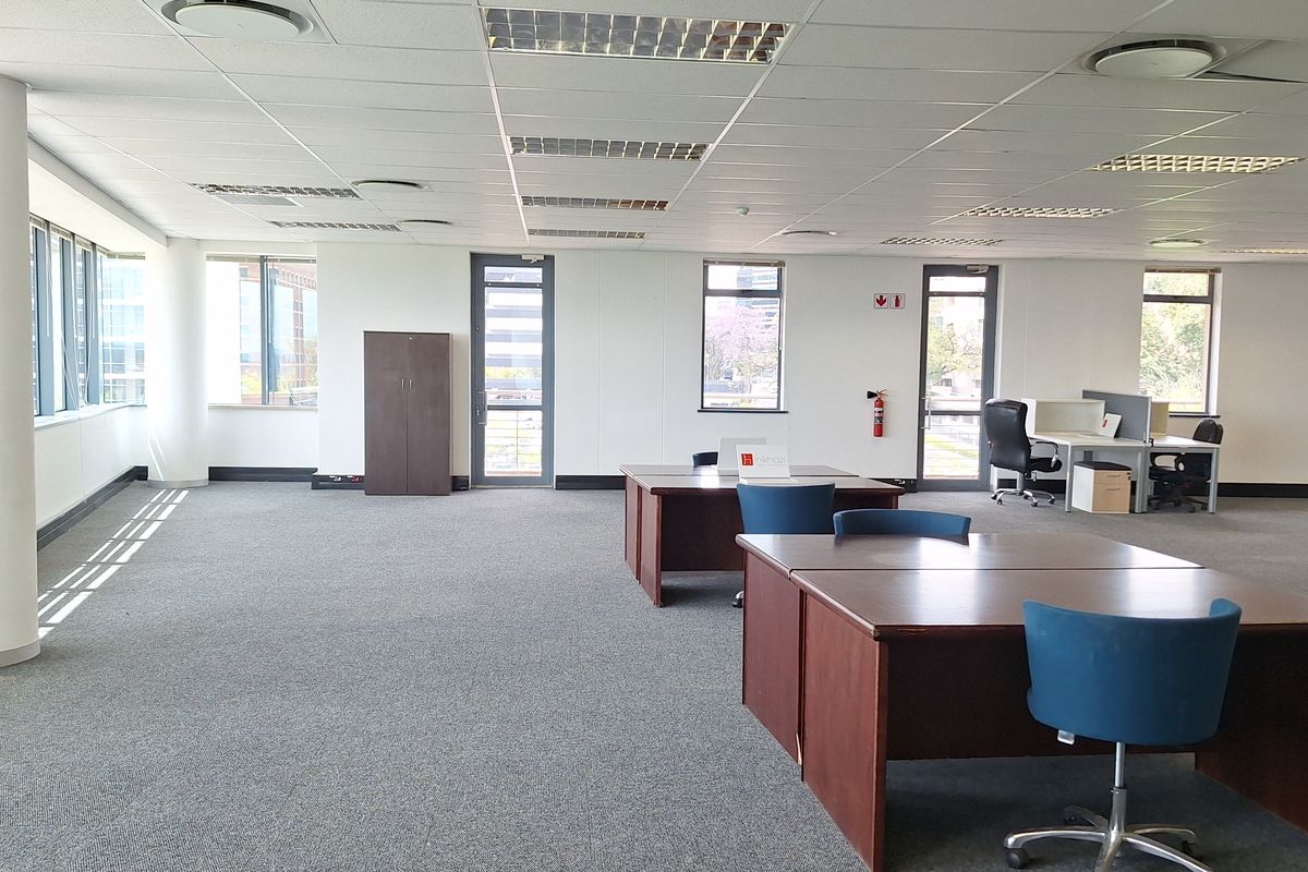 Spacious open-plan office area featuring a suspended ceiling, recessed lighting, carpeted flooring, and large windows providing ample natural light.