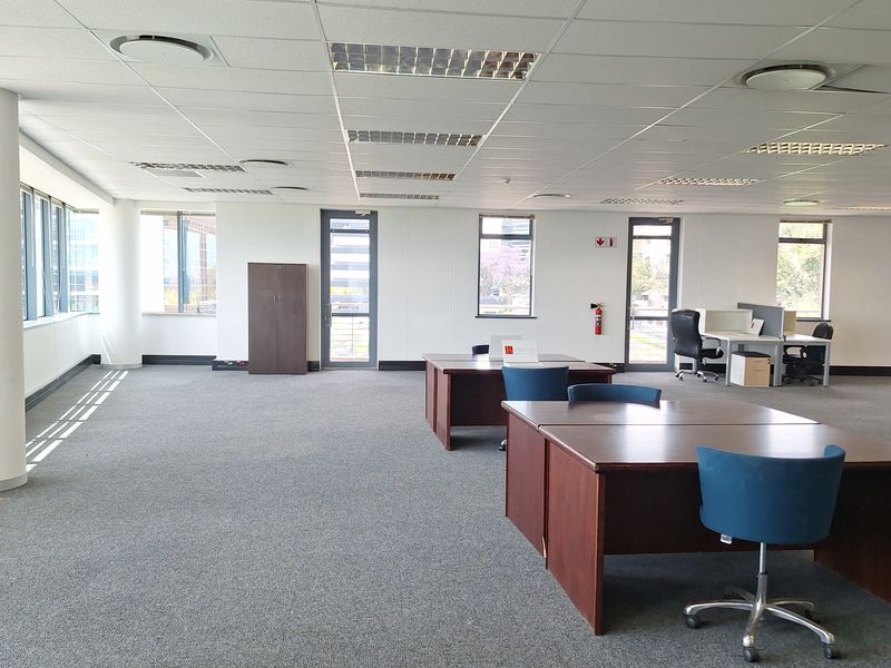 Spacious open-plan office area featuring a suspended ceiling, recessed lighting, carpeted flooring, and large windows providing ample natural light.