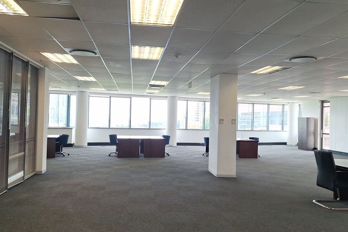 Spacious open-plan office area featuring large windows for natural light, suspended ceilings with recessed lighting, and carpeted flooring.