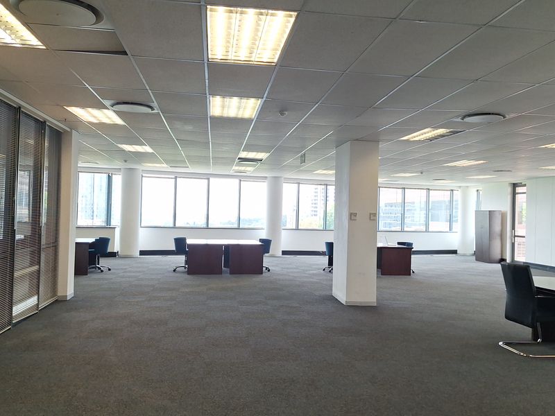 Spacious open-plan office area featuring large windows for natural light, suspended ceilings with recessed lighting, and carpeted flooring.