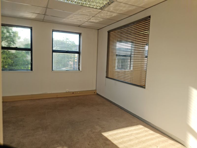 An empty office space featuring carpeted flooring, suspended ceiling with recessed lighting, and large windows fitted with venetian blinds.