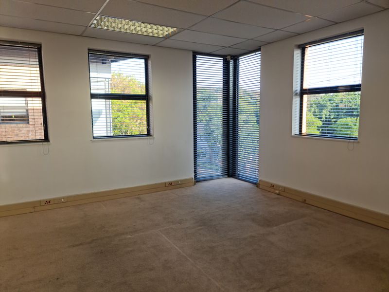 A vacant office space featuring carpet flooring, suspended ceilings with recessed lighting, and corner windows with fitted venetian blinds.