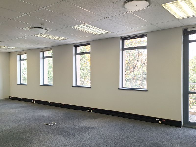 A spacious, vacant office area featuring a suspended ceiling, recessed lighting, carpeted flooring, and ample natural light through multiple windows.