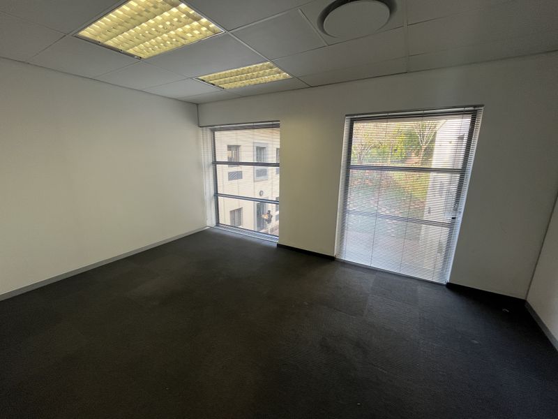 A vacant office space featuring carpeted flooring, suspended ceilings with recessed lighting, and large windows with fitted venetian blinds.
