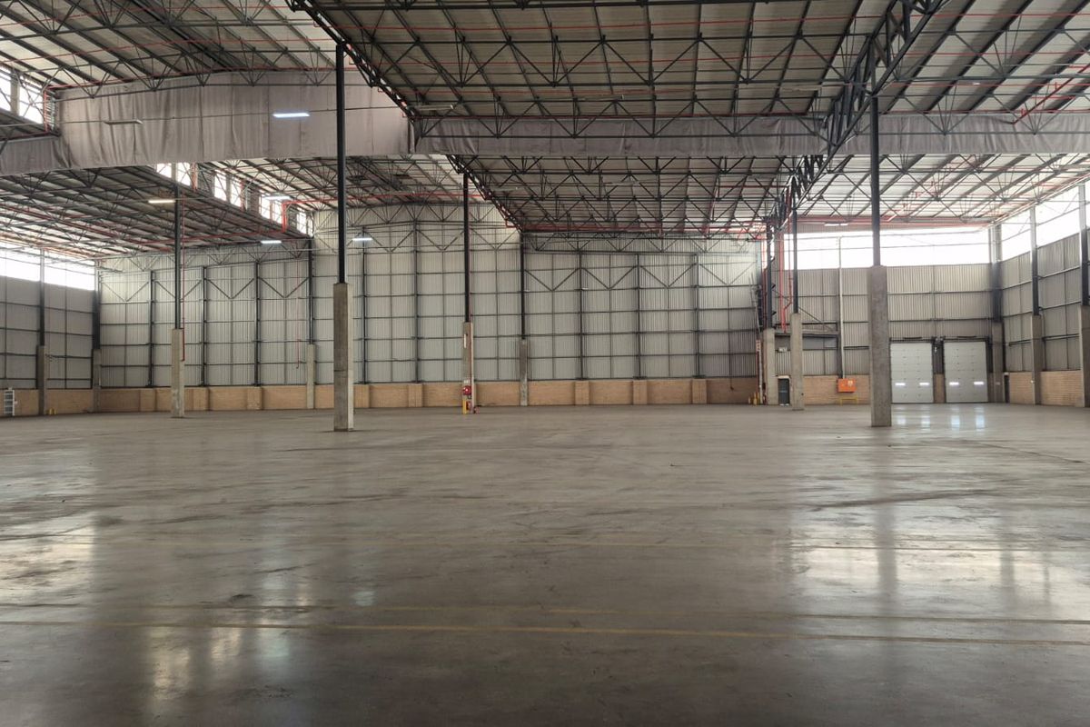 A spacious, open-plan industrial warehouse featuring high ceilings with exposed steel trusses, polished concrete flooring, and large roller shutter access doors.