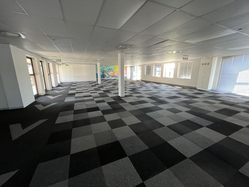 Spacious open-plan office area featuring a suspended ceiling, recessed lighting, and durable carpet tile flooring with large windows providing natural light.
