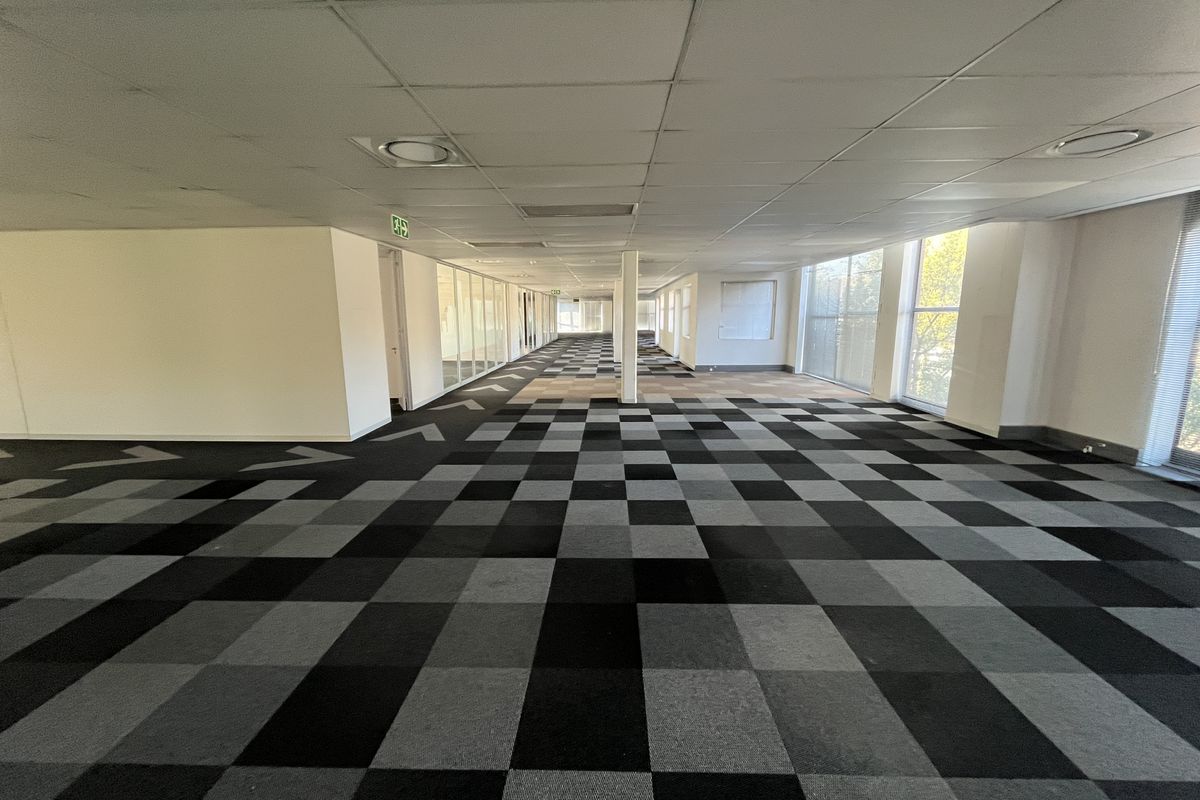 Spacious open-plan office area featuring a suspended ceiling, large windows for natural light, and patterned carpet tiles throughout.