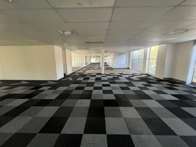 Spacious open-plan office area featuring a suspended ceiling, large windows for natural light, and patterned carpet tiles throughout.