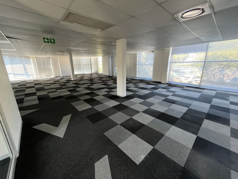 A spacious, open-plan office area featuring a suspended ceiling, recessed lighting, and a modern checkered carpet tile floor with large windows and blinds.
