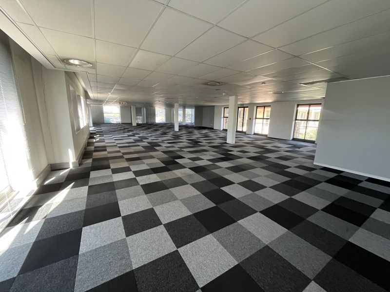 A spacious, open-plan office area featuring a suspended ceiling, recessed lighting, and a modern checkered carpet tile floor with ample natural light.