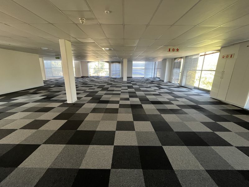 A spacious, open-plan office area featuring a suspended ceiling, checkered carpet tiles, and large windows providing ample natural light.