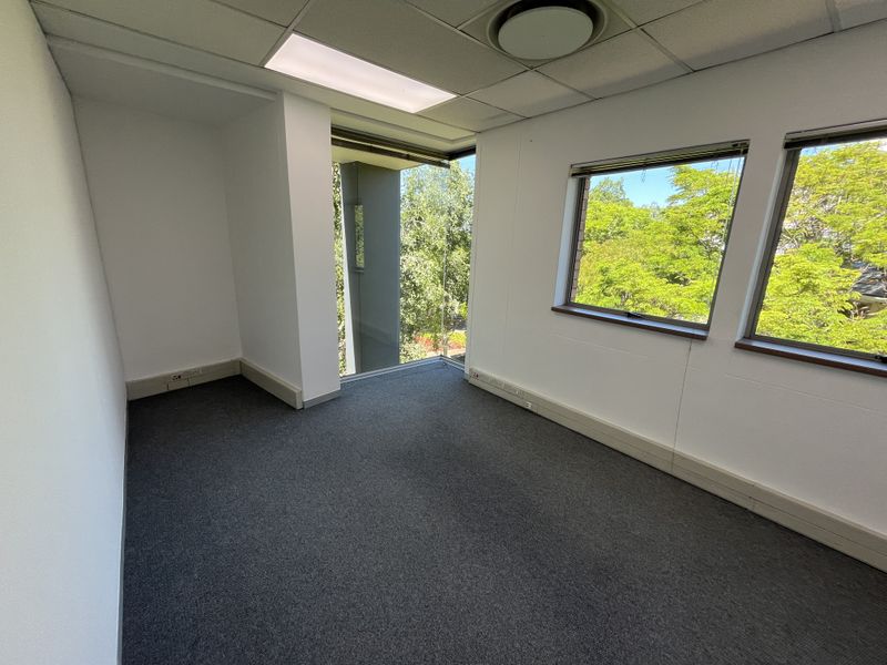 A bright, empty office space featuring carpeted flooring, suspended ceiling with recessed lighting, and large windows providing natural light and pleasant green views.