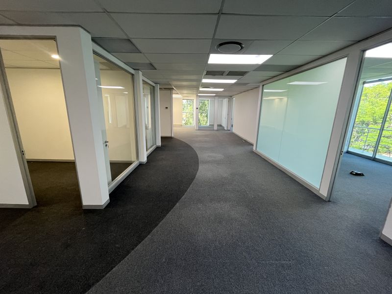 Spacious open-plan office area featuring modern glass partitions, suspended ceilings with recessed lighting, and professional carpet flooring throughout.