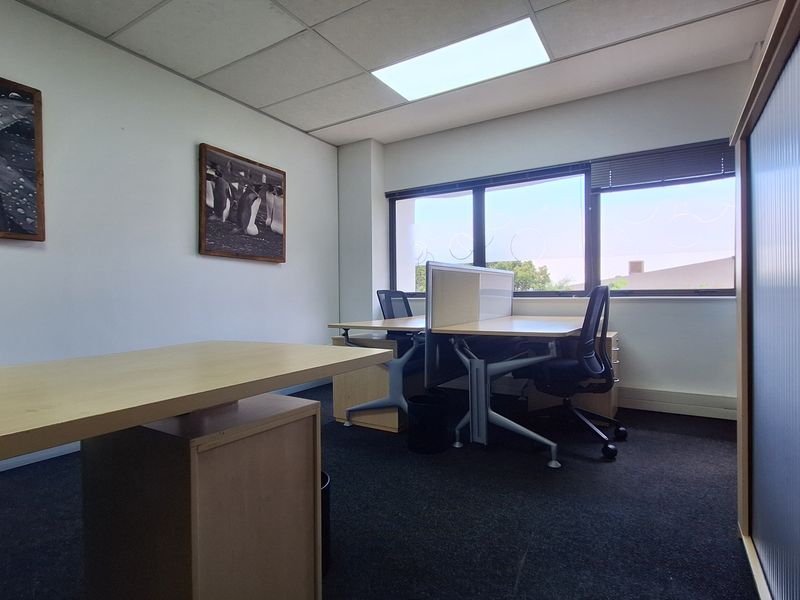 A functional office space featuring large windows for natural light, suspended ceiling tiles, and dark carpeting.