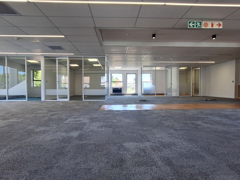 Spacious open-plan office area featuring modern glass partitions, suspended ceilings with recessed lighting, and neutral carpeting throughout.