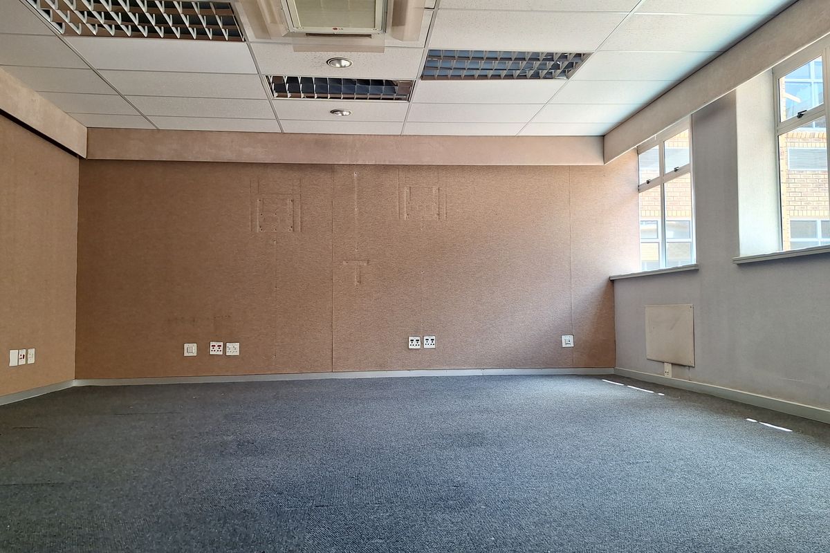 An empty office space featuring a suspended ceiling, recessed lighting, carpeted flooring, and large windows providing natural light.