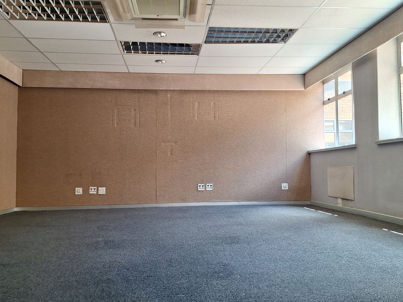An empty office space featuring a suspended ceiling, recessed lighting, carpeted flooring, and large windows providing natural light.