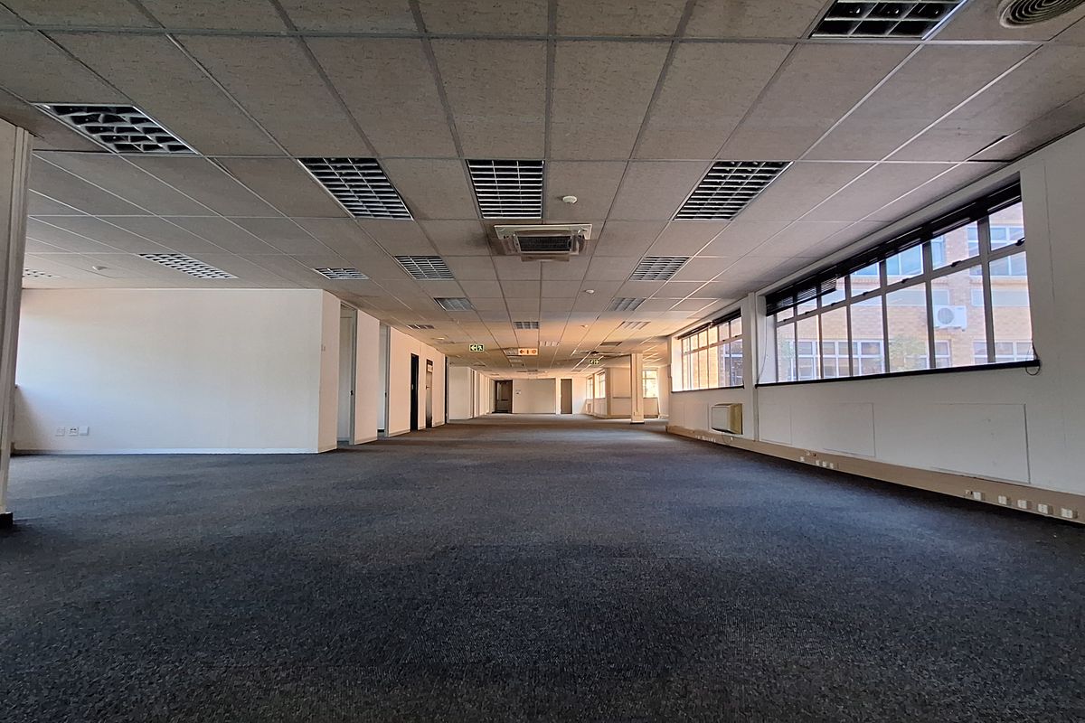 A spacious, open-plan office area featuring a suspended ceiling with recessed lighting, large windows for natural light, and carpeted flooring.