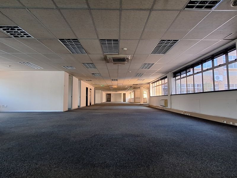 A spacious, open-plan office area featuring a suspended ceiling with recessed lighting, large windows for natural light, and carpeted flooring.