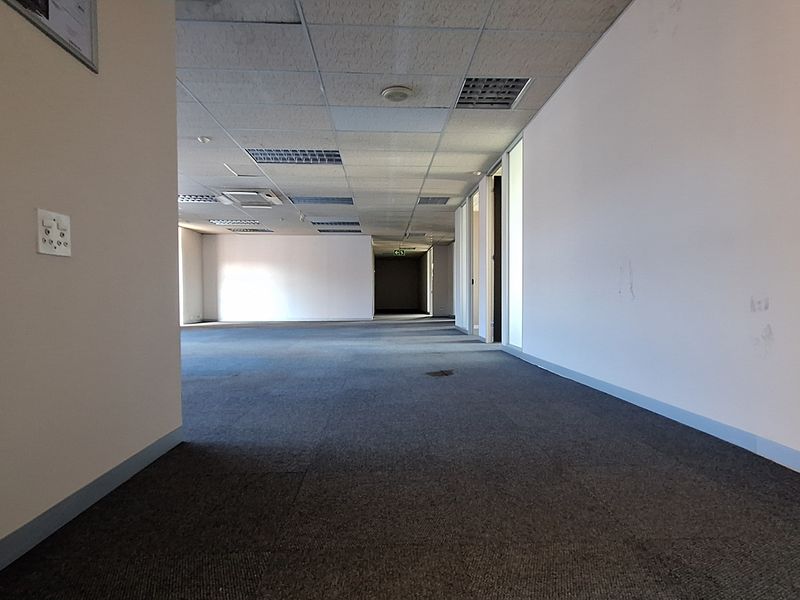 An empty, open-plan office space featuring a suspended ceiling, recessed lighting, and carpeted flooring, ready for custom fit-out.