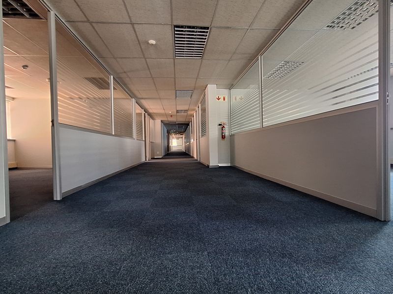 A long, empty office hallway featuring glass partition walls, carpeted flooring, and a suspended ceiling with integrated lighting.