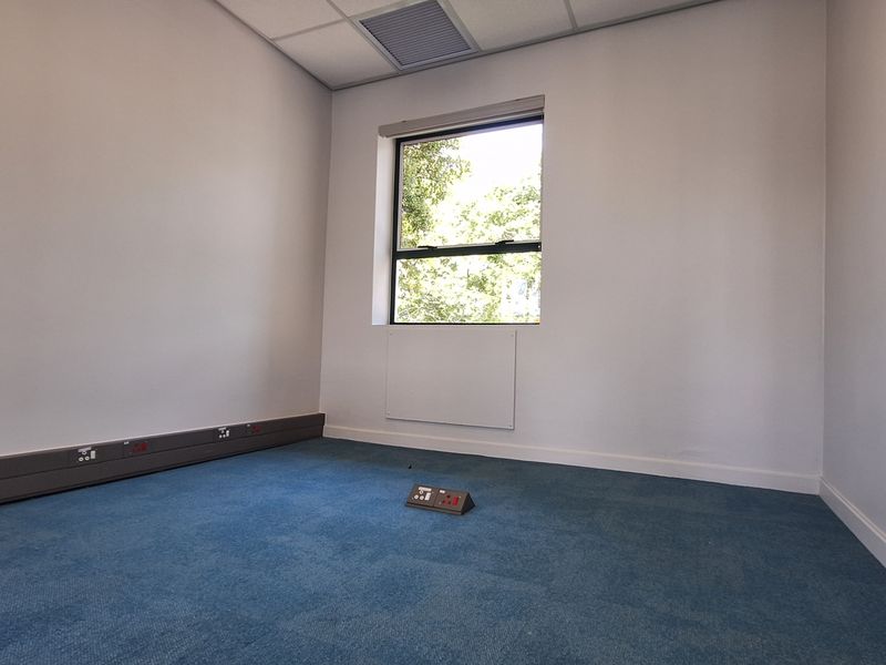 A vacant office space featuring blue carpeting, perimeter trunking, an electrical floor box, and a suspended ceiling with natural light from a window.