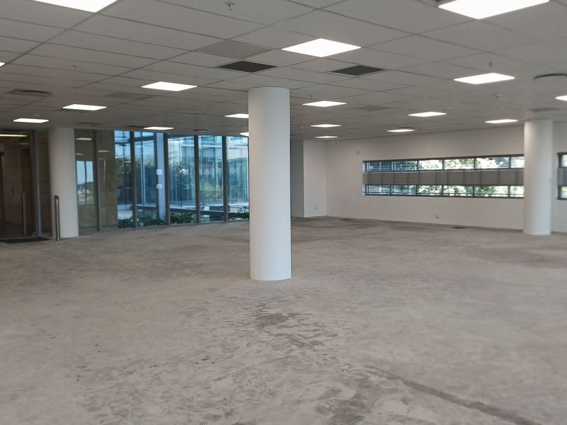 A spacious, open-plan office area featuring a suspended ceiling, recessed lighting, structural columns, and large windows providing ample natural light.