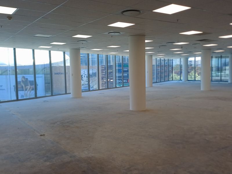 Spacious open-plan office area featuring floor-to-ceiling windows, structural columns, and a suspended ceiling with recessed lighting.