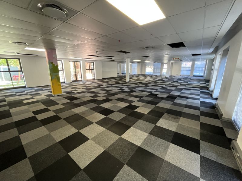 A spacious, open-plan office area featuring a suspended ceiling, recessed lighting, and a checkered carpet tile floor with large windows providing natural light.