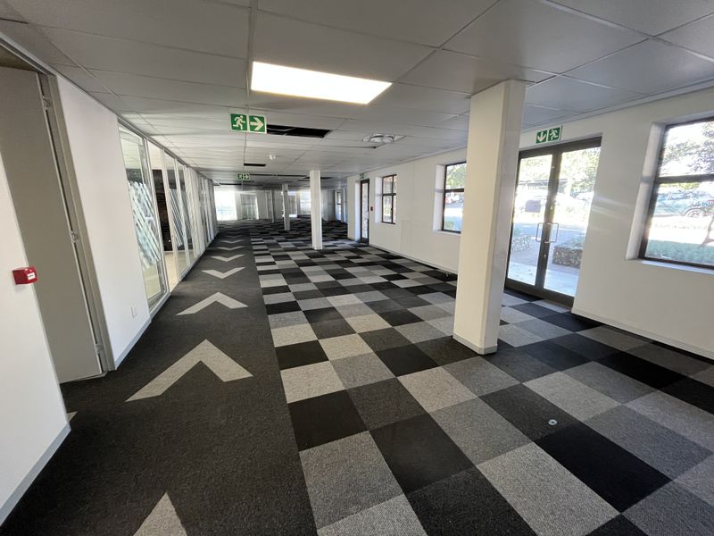 Spacious open-plan office area featuring modern glass partitions, suspended ceilings, and durable checkered carpet tiles with direct exterior access.