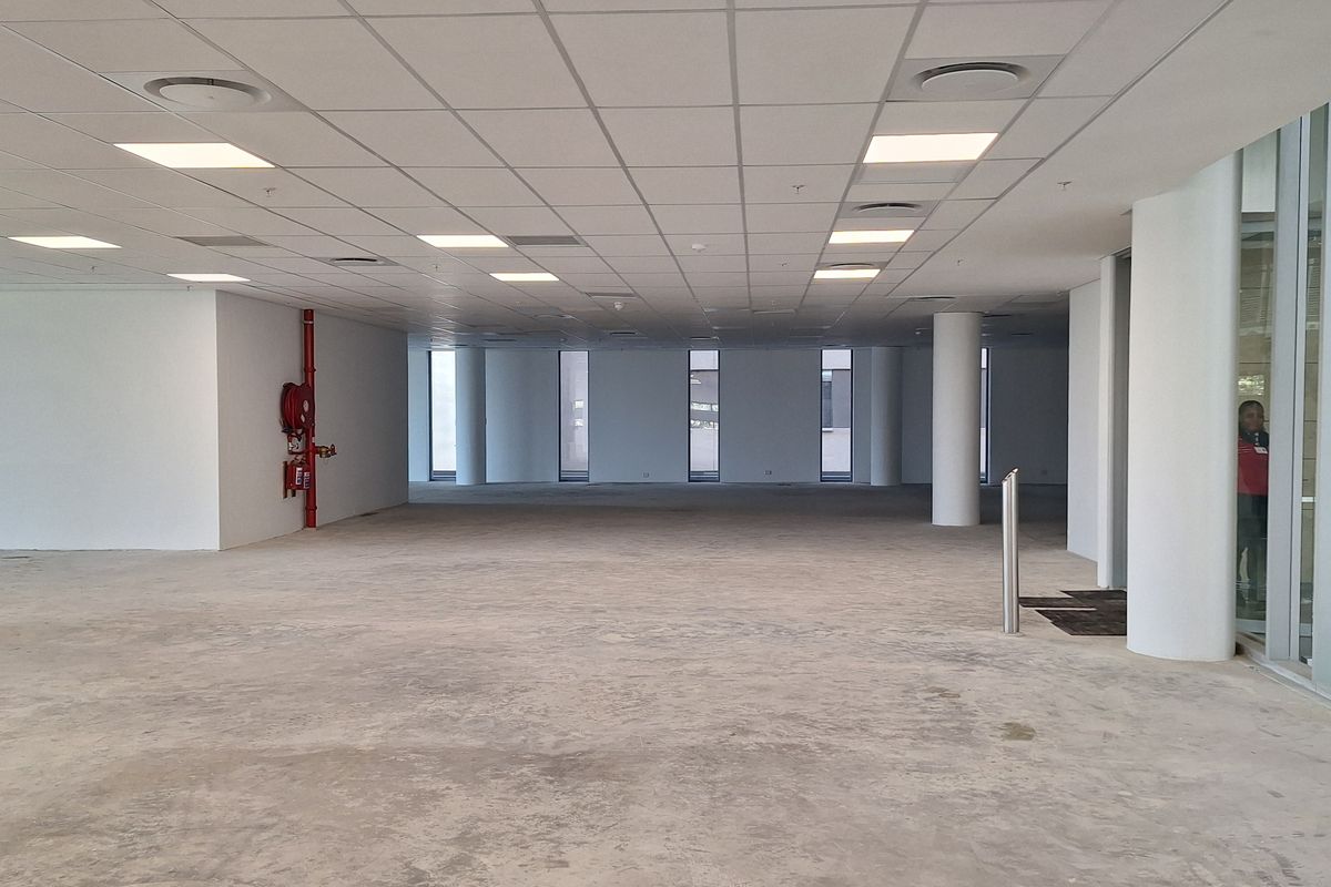 A spacious, open-plan office area featuring a suspended ceiling, recessed lighting, structural columns, and large windows, currently presented as a blank canvas.