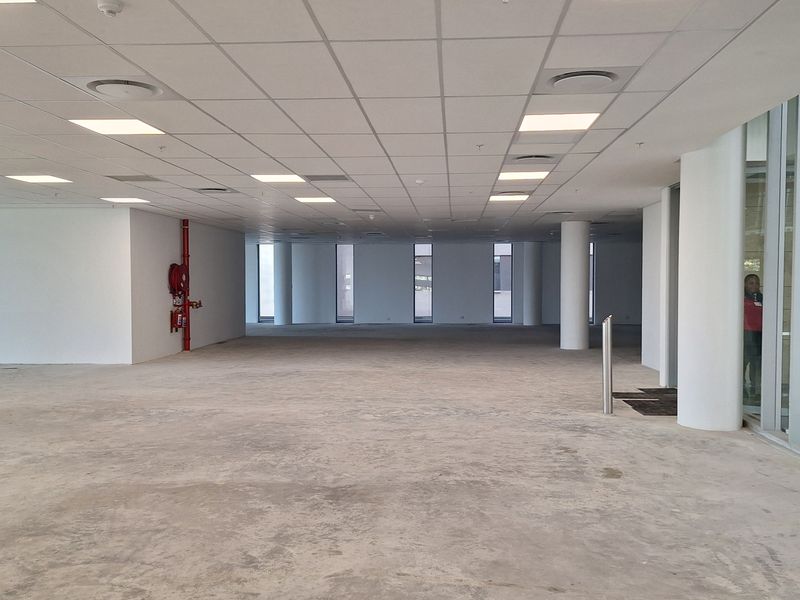 A spacious, open-plan office area featuring a suspended ceiling, recessed lighting, structural columns, and large windows, currently presented as a blank canvas.