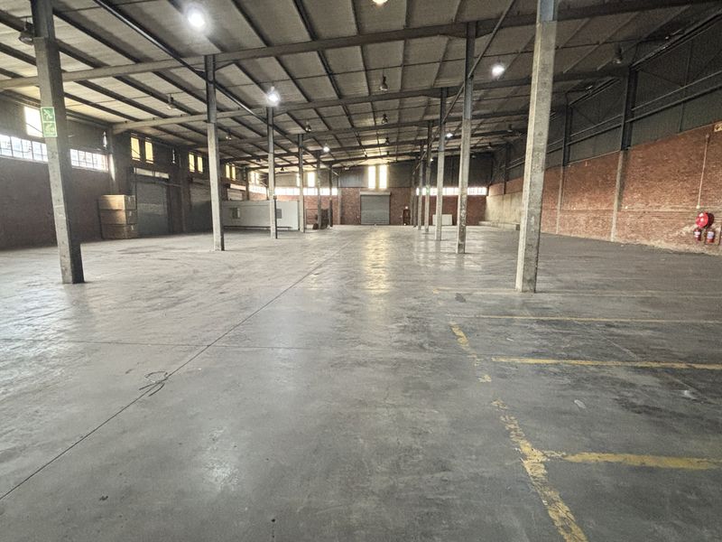 Spacious industrial warehouse featuring high ceilings, exposed steel trusses, durable concrete flooring, and multiple roller shutter doors, suitable for various commercial or storage operations.