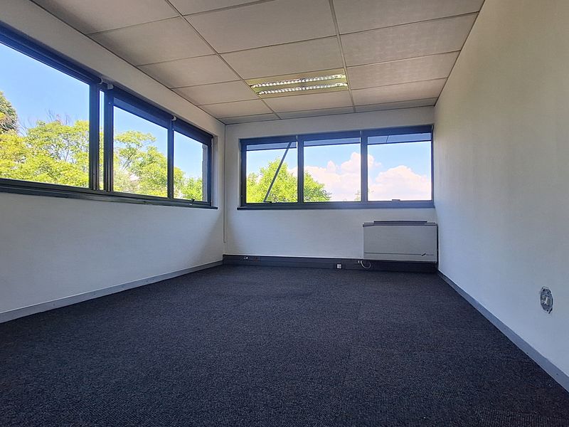 A bright, empty office space featuring carpeted flooring, suspended ceilings with recessed lighting, and large windows providing natural light and exterior views.