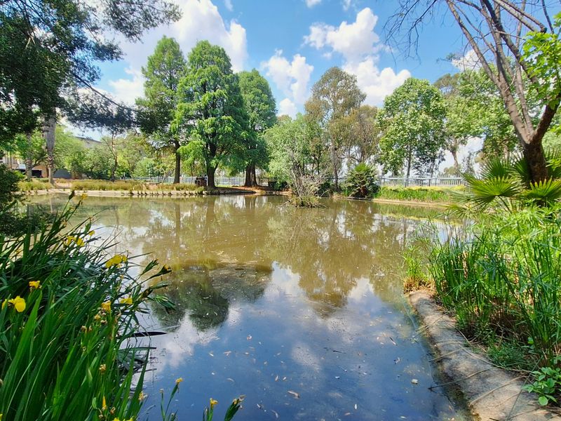 A tranquil garden setting featuring a natural pond surrounded by mature trees and lush greenery, providing a peaceful outdoor environment.