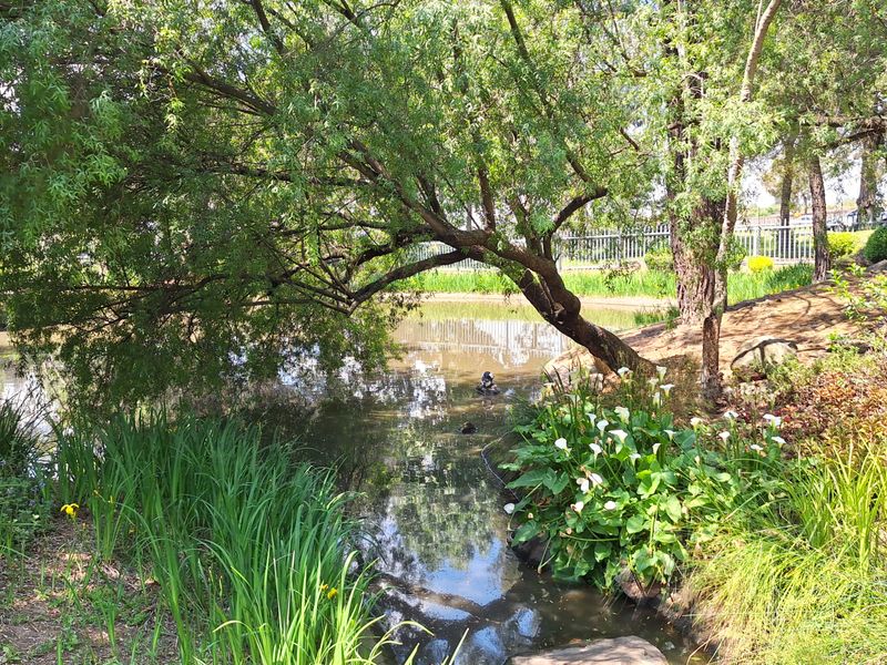 A tranquil landscaped garden area featuring a natural pond, mature trees, and established greenery, providing a peaceful outdoor setting for the office property.