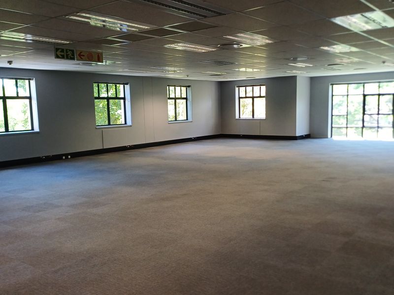 A spacious, open-plan office area featuring neutral carpeting, large windows providing natural light, and a suspended ceiling with integrated lighting.
