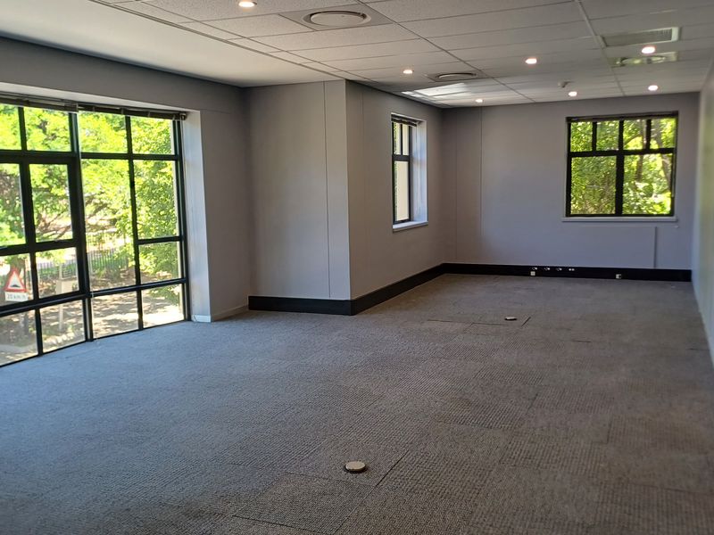 A spacious, empty office area featuring large windows, carpeted flooring, and a suspended ceiling with recessed lighting, suitable for a professional workspace.