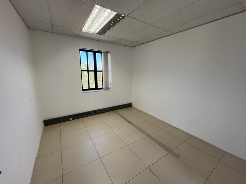 An empty office space featuring tiled flooring, a suspended ceiling with recessed lighting, and a window with black framing.