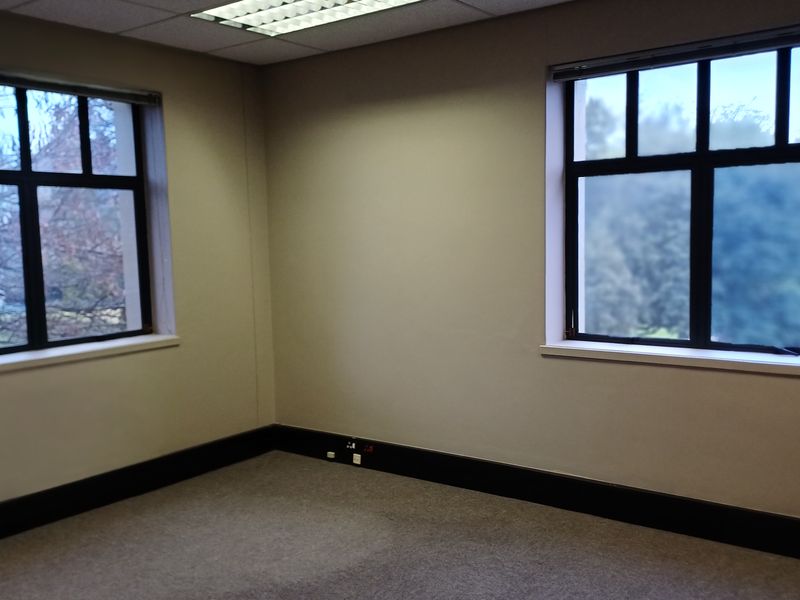 A vacant office space featuring neutral walls, carpeted flooring, suspended ceiling with recessed lighting, and large windows providing natural light.