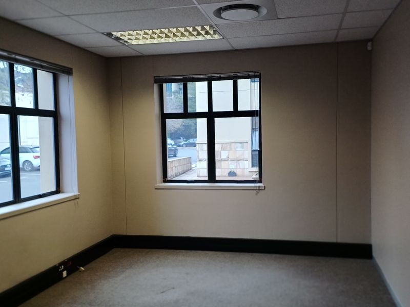 A vacant office space featuring neutral walls, carpeted flooring, suspended ceiling with recessed lighting, and large windows providing natural light.
