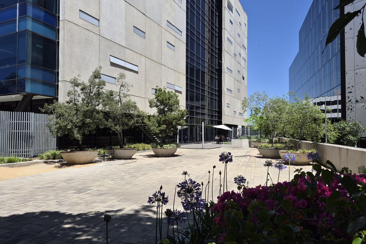 A modern commercial courtyard featuring paved walkways, concrete planters, and a striking glass and concrete building facade.