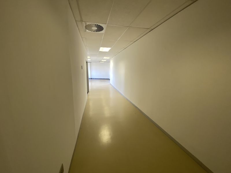A long, empty office hallway featuring a suspended ceiling with recessed lighting and durable vinyl flooring.