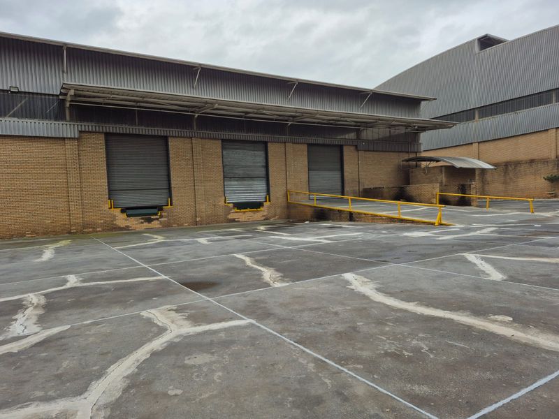 Industrial rear yard featuring multiple roller shutter loading bays, a concrete hardstand area, and protective steel safety railings.