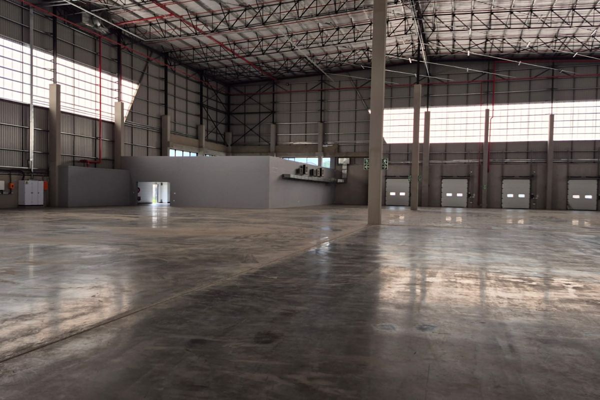 Spacious industrial warehouse featuring high ceilings, polished concrete flooring, multiple roller shutter doors, and integrated fire suppression systems.