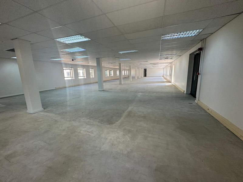 Entire Office Building To Let – Illovo, Johannesburg - Photo 7